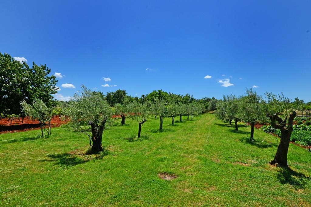 Apartments Mira Veleniki Dış mekan fotoğraf